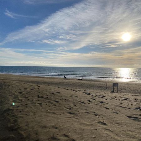 Appartamento Vista Mare A Marina Di Ardea L'Americano Екстериор снимка